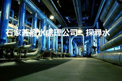 石家莊廢水處理公司：探尋水資源可持續(xù)利用之路？
